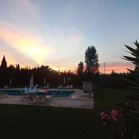 Fattoria Il Giardo Apartman Pietrasanta Kültér fotó