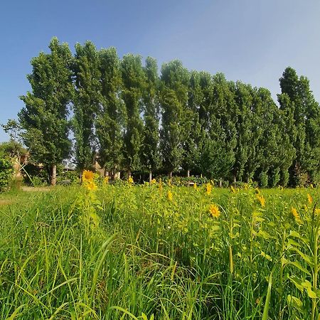 Fattoria Il Giardo Apartman Pietrasanta Kültér fotó