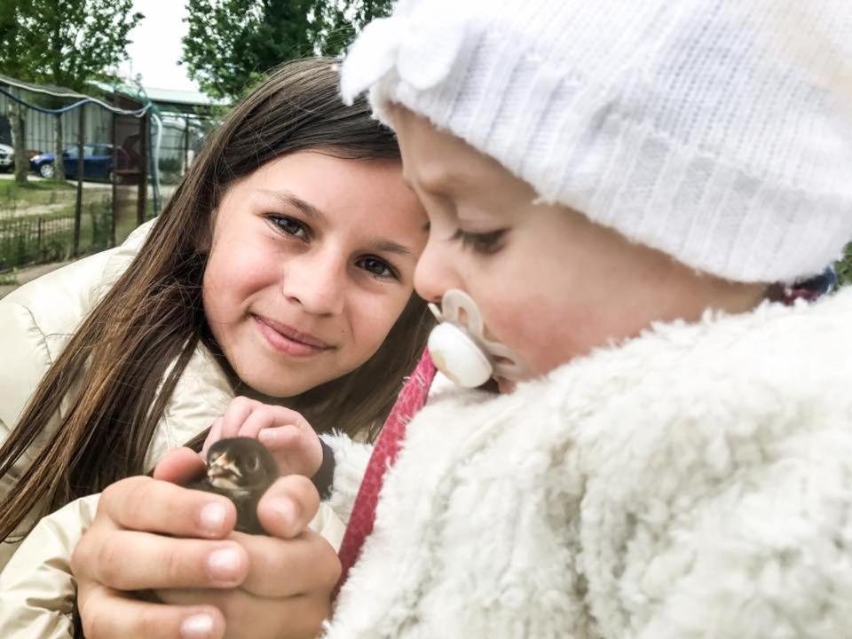 Fattoria Il Giardo Apartman Pietrasanta Kültér fotó