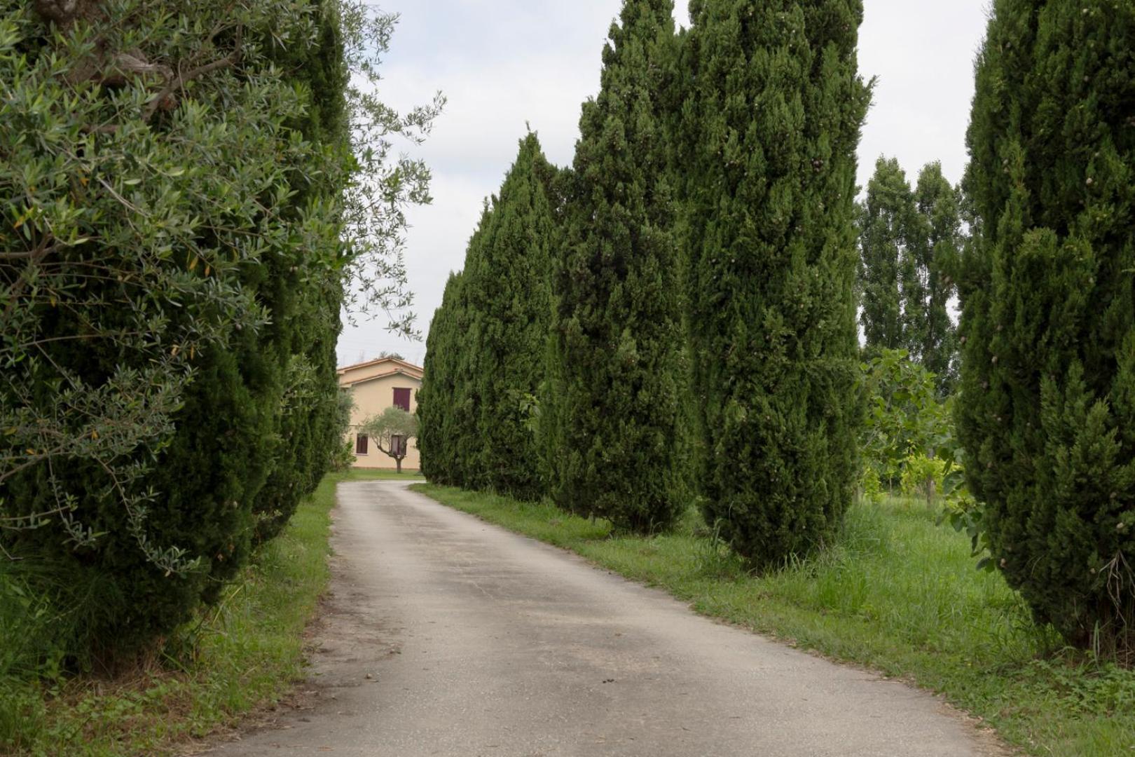 Fattoria Il Giardo Apartman Pietrasanta Kültér fotó