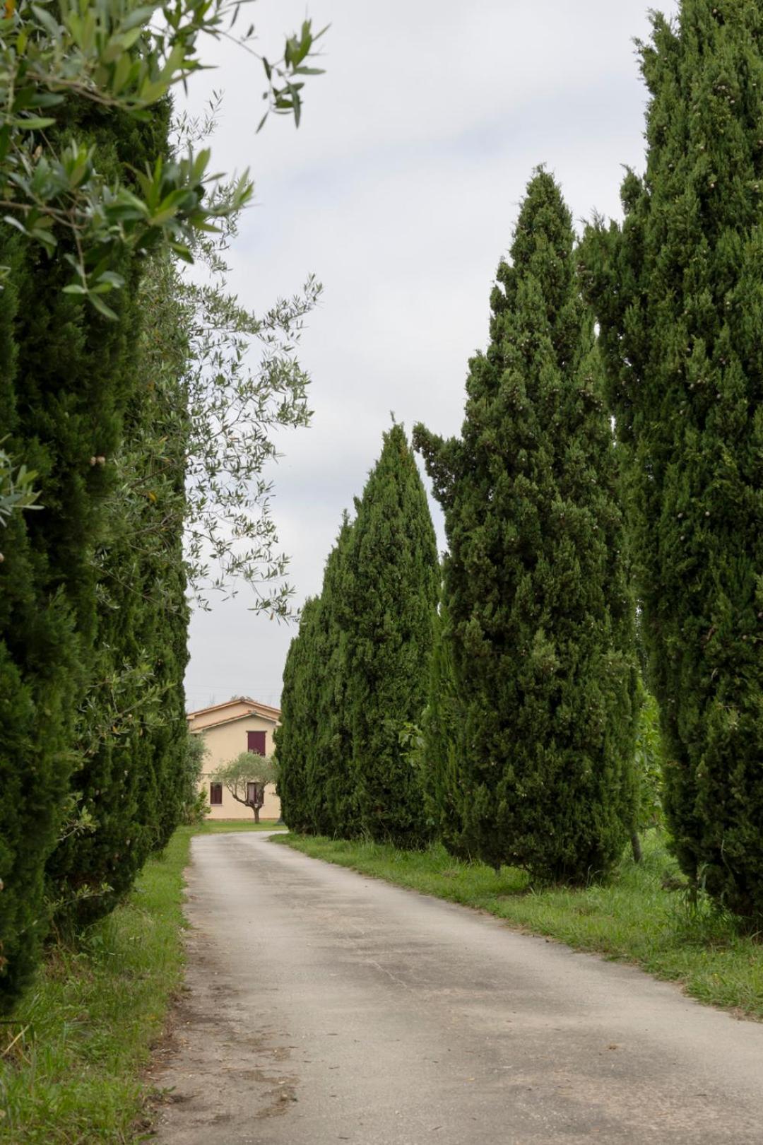 Fattoria Il Giardo Apartman Pietrasanta Kültér fotó